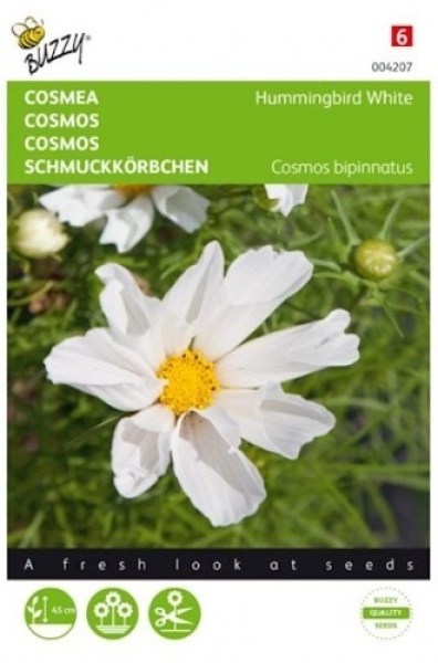 004207 cosmos biely_500x500